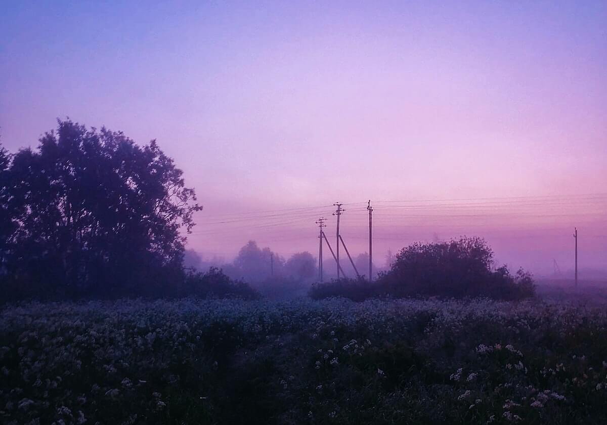 NBA直播-CBA-崔永熙首秀5中1付豪26+9 广东不敌辽宁